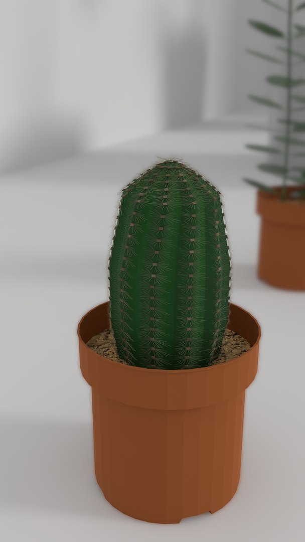 indoor plants 3D model https://p.turbosquid.com/ts-thumb/Gk/FJGHMG/H1sVU5xt/11/png/1548689707/1920x1080/fit_q87/e10621dabfde0a94ca10a80a29ed89b7e221abe2/11.jpg