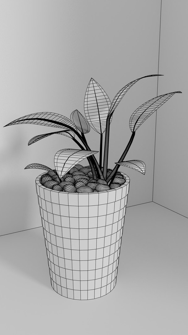 indoor plants 3D model https://p.turbosquid.com/ts-thumb/Gk/FJGHMG/Hi3BcLU2/18/png/1548689707/1920x1080/fit_q87/bbd34fe8f062aaa922e6583b957c254c77dec0d9/18.jpg