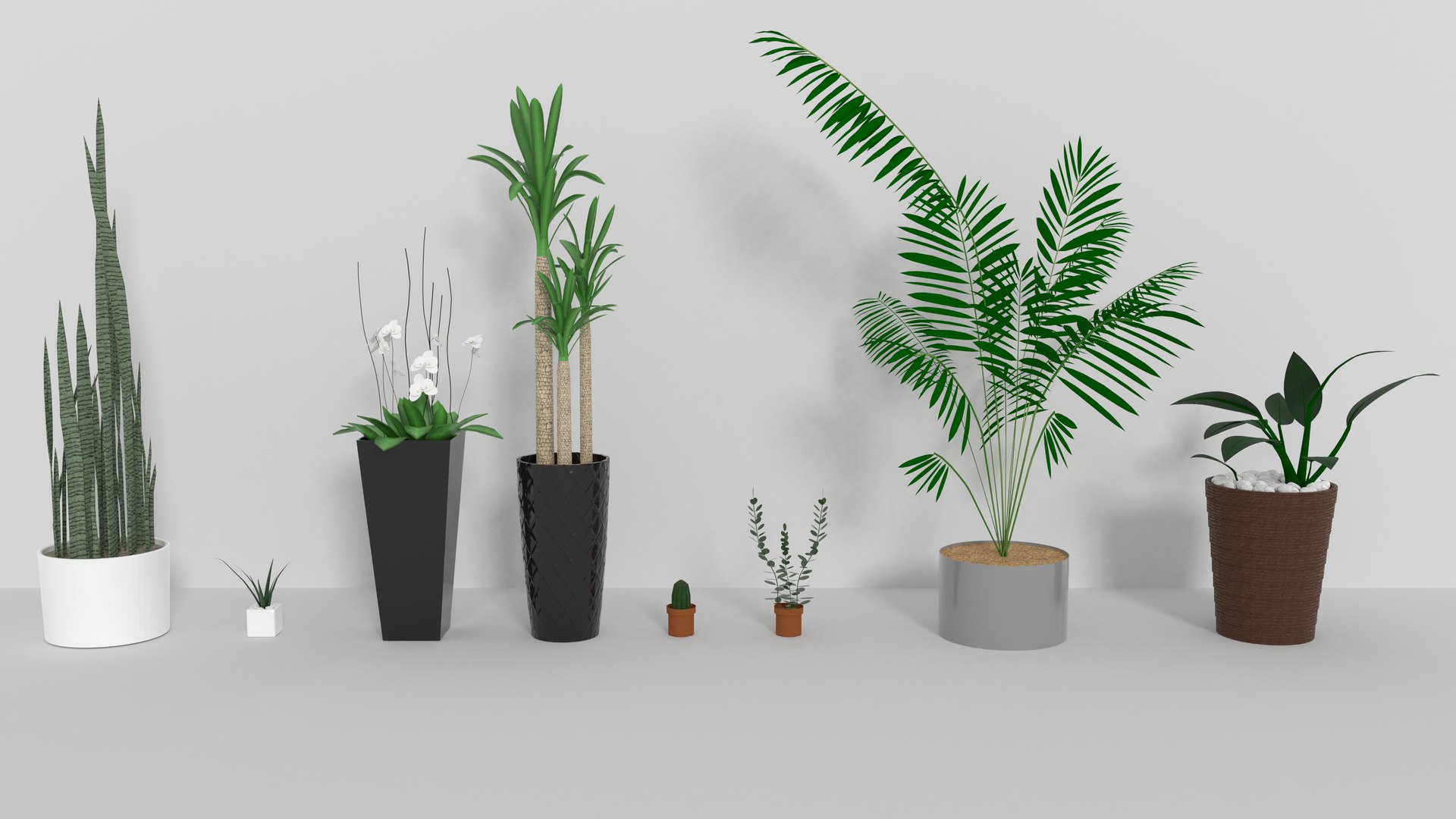 indoor plants 3D model https://p.turbosquid.com/ts-thumb/Gk/FJGHMG/IUHcyTbS/1/png/1548688809/1920x1080/fit_q87/68f996f9f321e306c9f9353068a5c2d205661fea/1.jpg