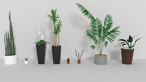 Indoor plants