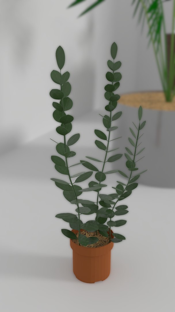 indoor plants 3D model https://p.turbosquid.com/ts-thumb/Gk/FJGHMG/LEb7VE8I/13/png/1548689707/1920x1080/fit_q87/d6343849eaa8a21dfb877a49bf308b64b7c192d7/13.jpg