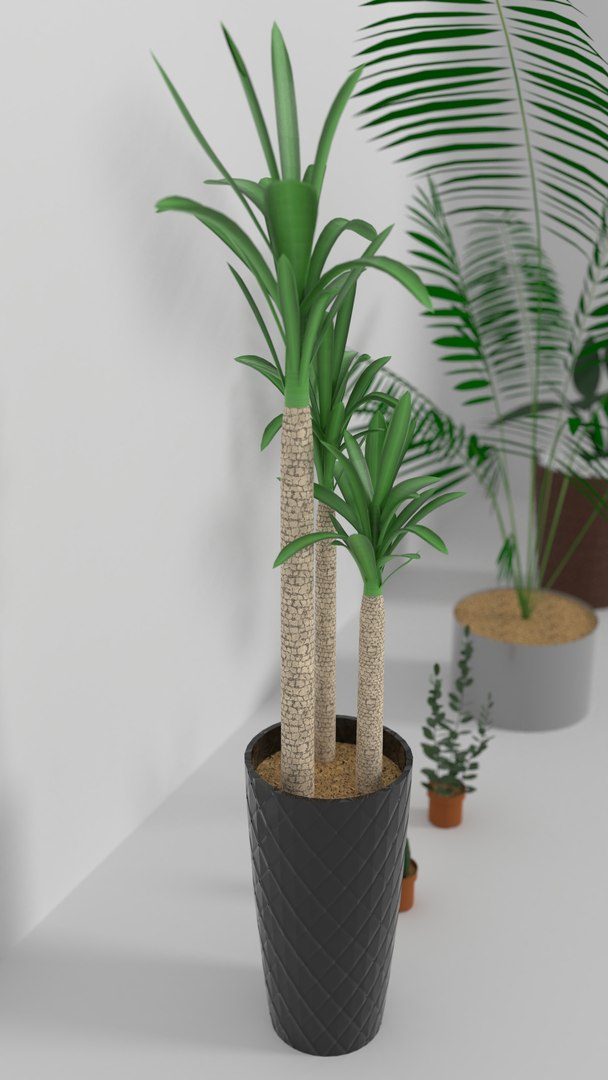 indoor plants 3D model https://p.turbosquid.com/ts-thumb/Gk/FJGHMG/Oa6Kg7rr/9/png/1548689707/1920x1080/fit_q87/6af23e0abbb1e7fb9b827f2e70de886988b6e557/9.jpg