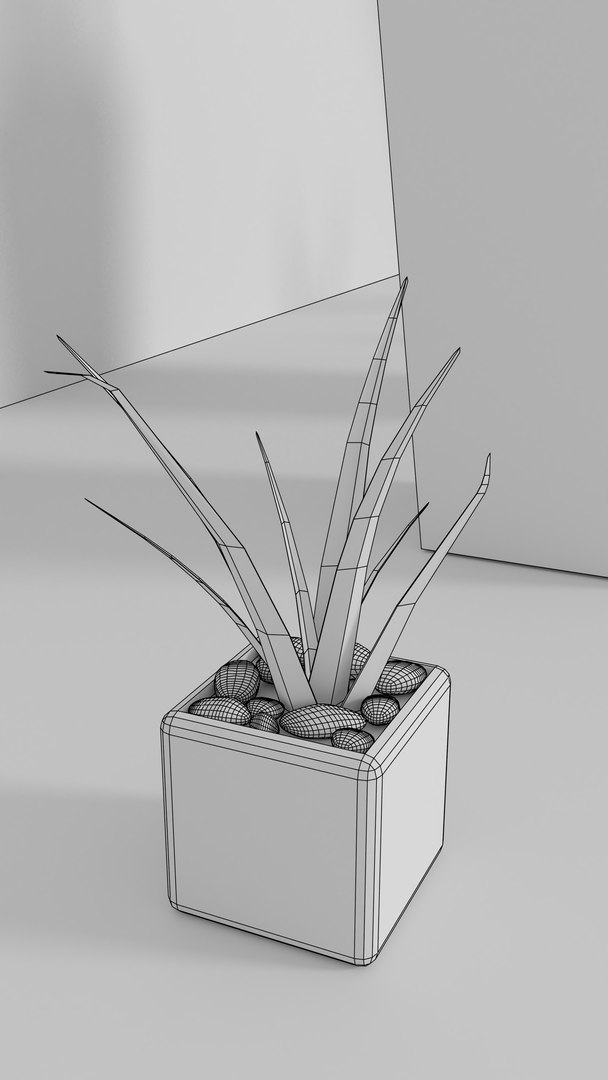 indoor plants 3D model https://p.turbosquid.com/ts-thumb/Gk/FJGHMG/QUnvWcfx/6/png/1548689460/1920x1080/fit_q87/38b093c6465934eba44c687e28aafb67eccc1903/6.jpg