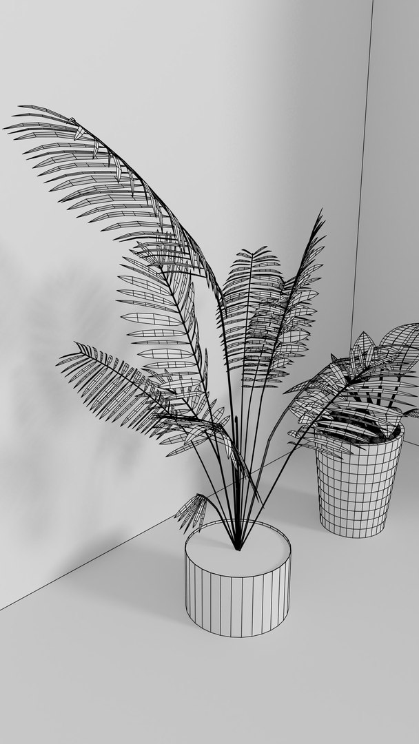 indoor plants 3D model https://p.turbosquid.com/ts-thumb/Gk/FJGHMG/WCdIHodH/16/png/1548689707/1920x1080/fit_q87/5d3343d54b388b83c21fdd25058e80bfa334c6f0/16.jpg