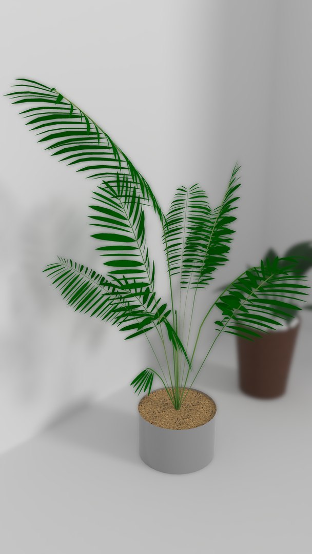 indoor plants 3D model https://p.turbosquid.com/ts-thumb/Gk/FJGHMG/pURavlUy/15/png/1548689707/1920x1080/fit_q87/20f7c90adc0e6b7393b3a082a3ff80b4e2a0335b/15.jpg