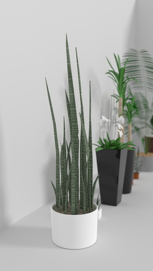 indoor plants 3D model https://p.turbosquid.com/ts-thumb/Gk/FJGHMG/tCcE7lUQ/3/png/1548689018/1920x1080/fit_q87/192462d2f34429e90c3471a227934c5ef4ddb618/3.jpg
