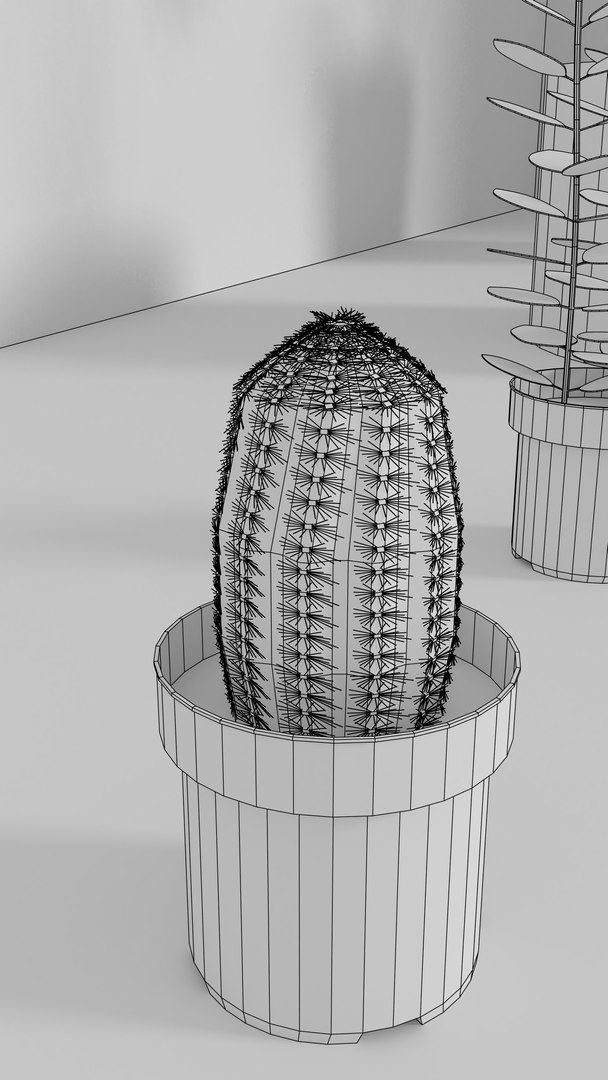 indoor plants 3D model https://p.turbosquid.com/ts-thumb/Gk/FJGHMG/zCXIe2wm/12/png/1548689707/1920x1080/fit_q87/26746f9b70471a685e8505ca8d2a71a55c27eb25/12.jpg