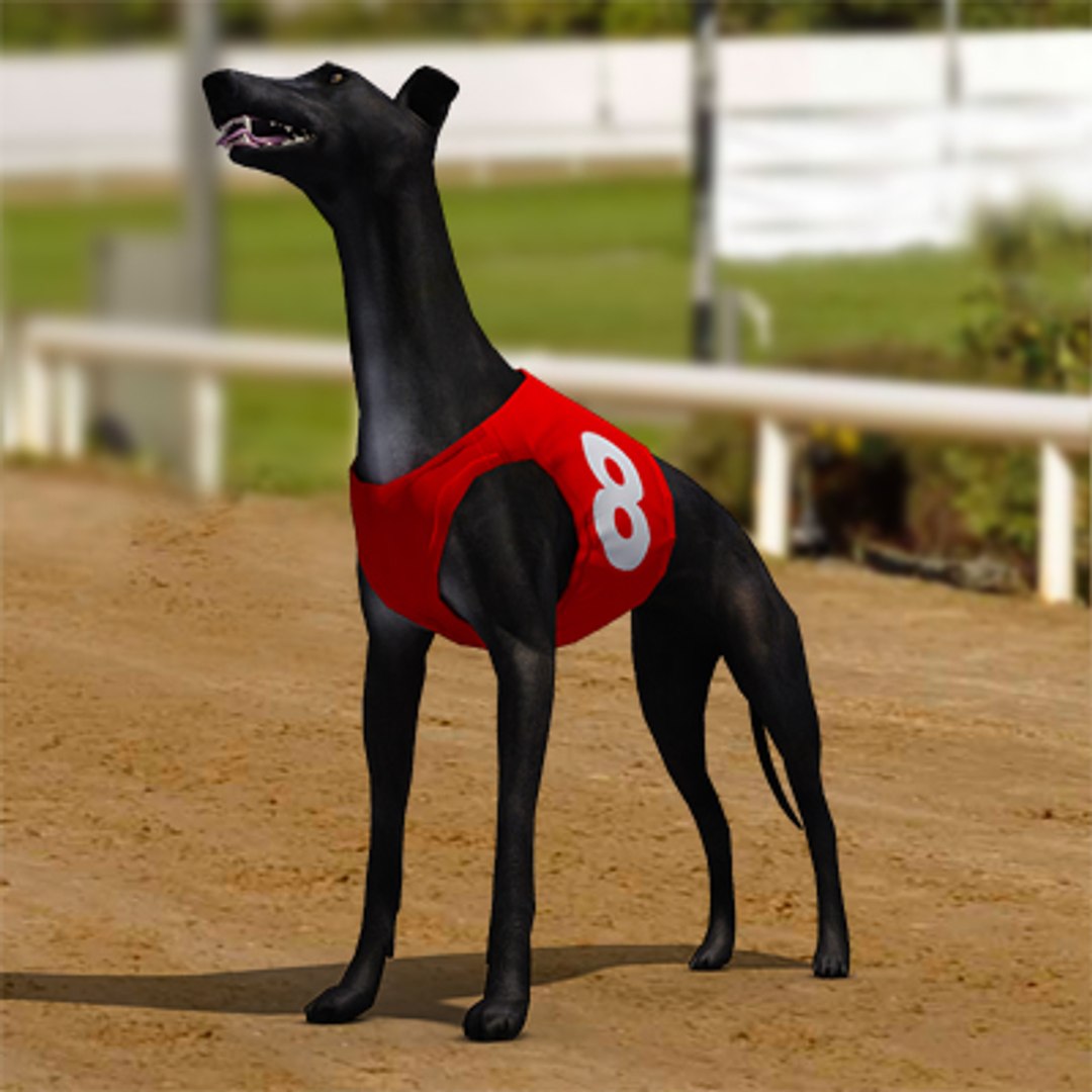 3d Racing Greyhounds Number Jackets