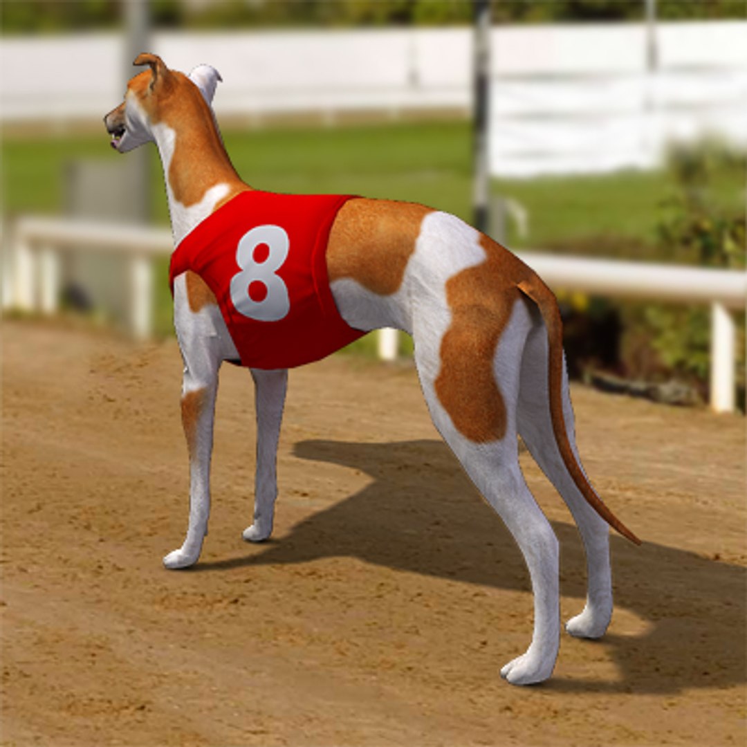 3d Racing Greyhounds Number Jackets