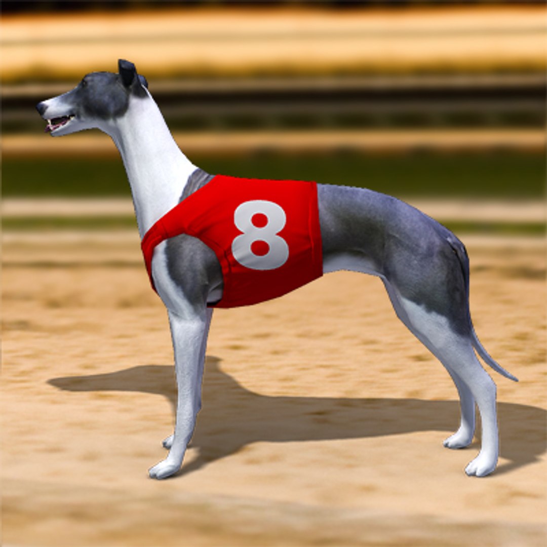 3d Racing Greyhounds Number Jackets