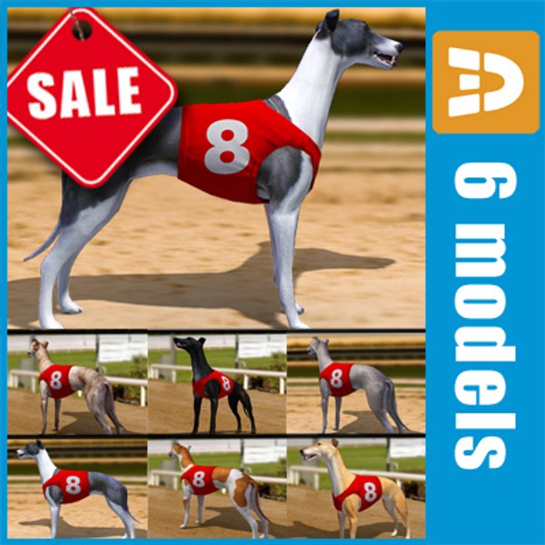 greyhound racing jackets