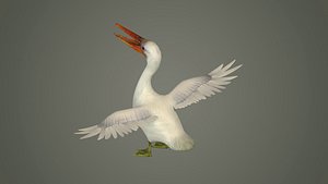 3D stork flamingo swan pelican cormorant bluetit pigeon