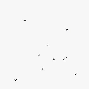 Animated Flying Pigeons
