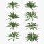 3D Ferns Dryopteris 01-08  with LODs