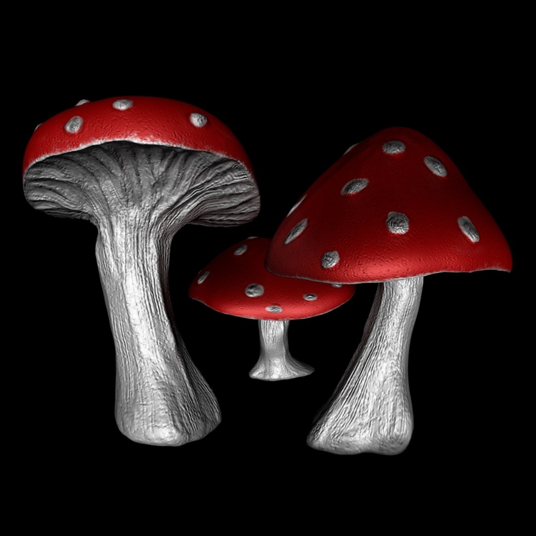 3d mushroom model https://p.turbosquid.com/ts-thumb/Gk/hPsQ2t/Hg1YEZ8G/2/jpg/1423091513/1920x1080/fit_q87/54ab1a0362c8927bb15269461c5eacac618f7c5b/2.jpg