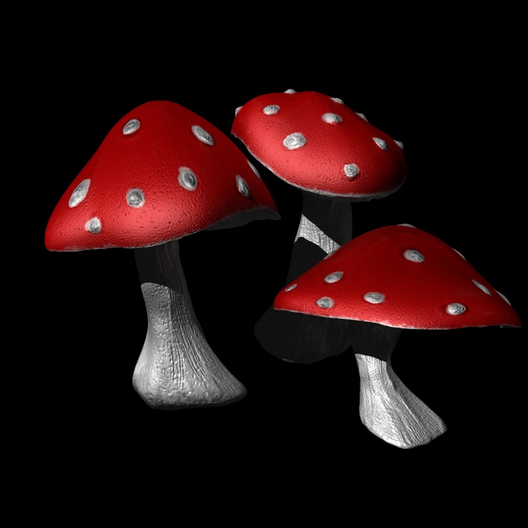 3d mushroom model https://p.turbosquid.com/ts-thumb/Gk/hPsQ2t/WmQKl6Bo/3/jpg/1423091513/1920x1080/fit_q87/d16d4b19b908c074662ade985eb602fceb03ac34/3.jpg