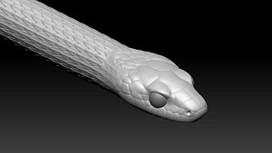 Garter Snake Zbrush Model 3D