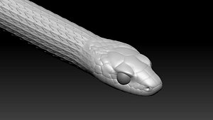 Garter Snake Zbrush Model