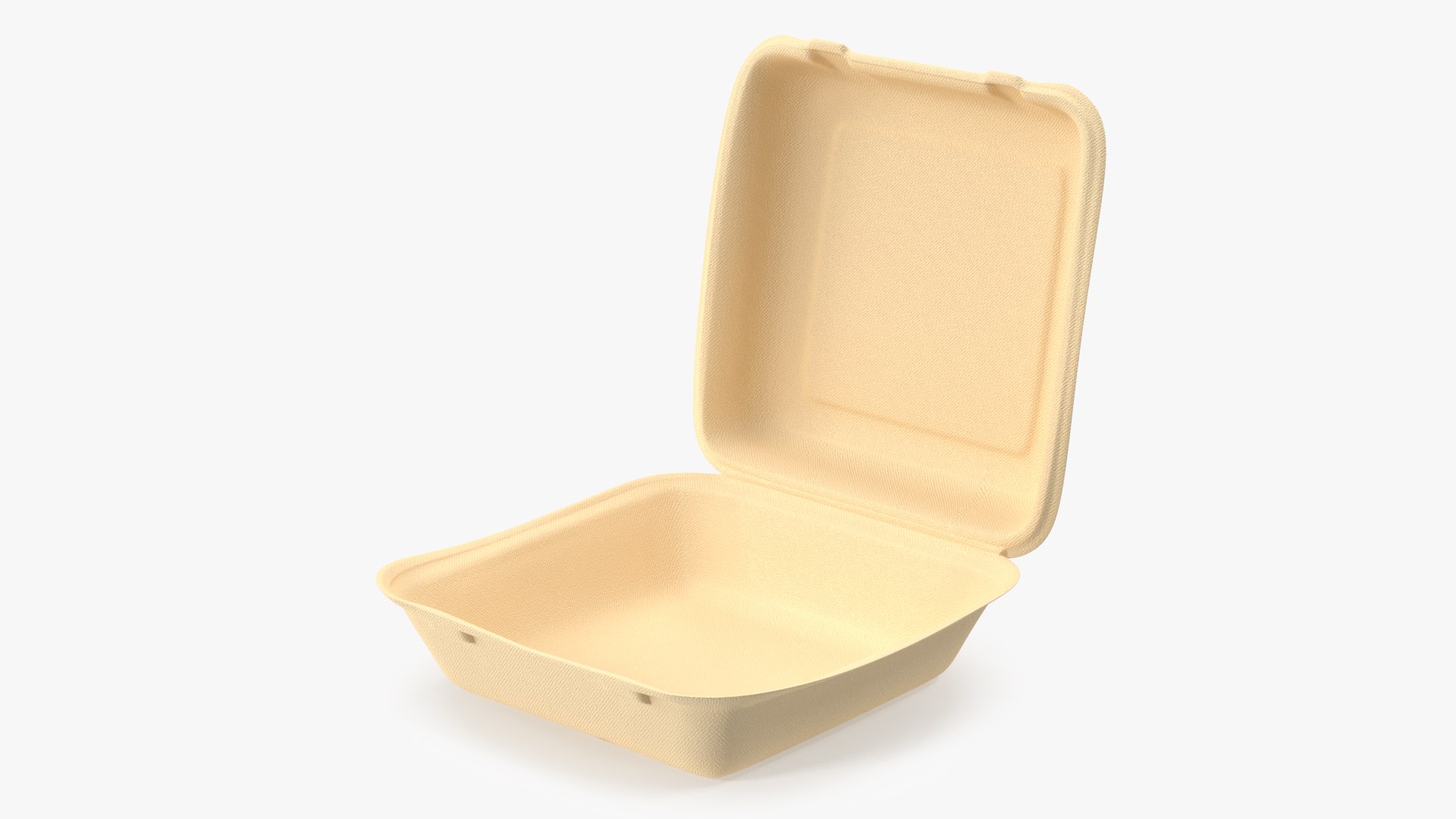 Bagasse Food Box 3D model preview