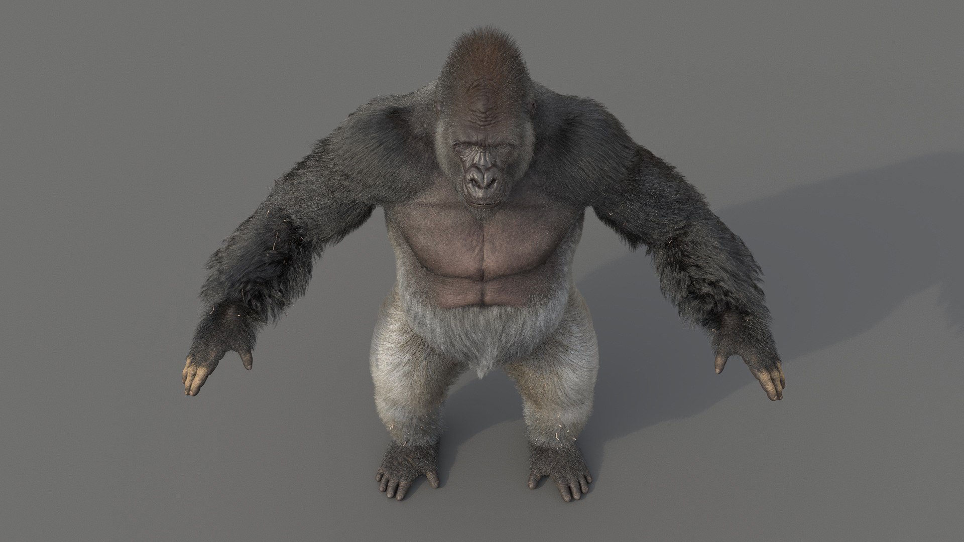 Gorilla Fur Objects 3D Model - TurboSquid 1695616