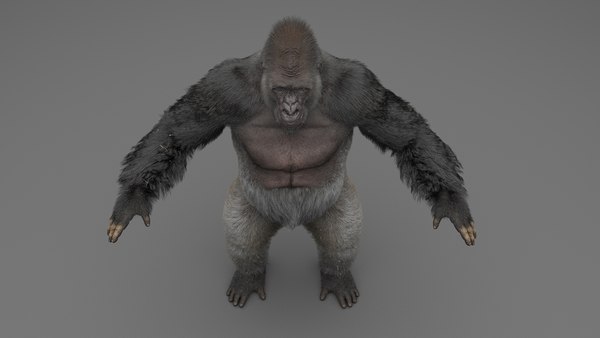 Gorilla fur objects 3D model - TurboSquid 1695616