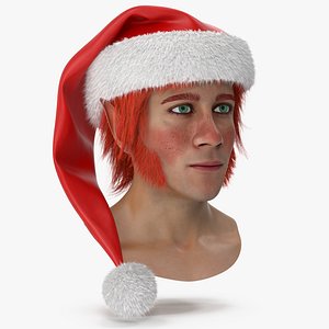 Christmas Elf Head 4