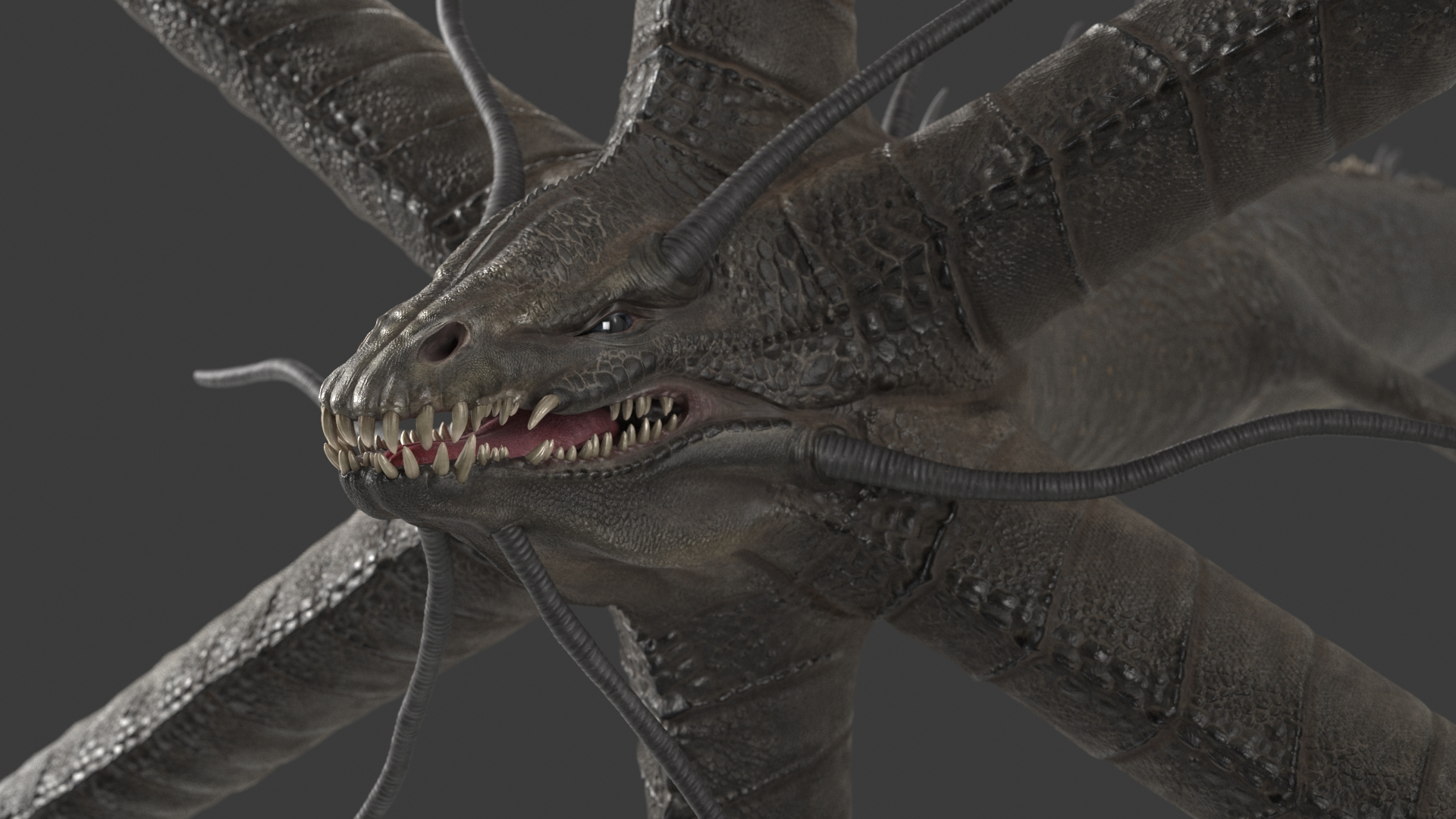 3D Mythical Sea Leviathan Serpent Form Black Rigged https://p.turbosquid.com/ts-thumb/Gl/K6knmd/60/mythical_sea_leviathan_serpent_form_black_rigged_361/jpg/1759148060/1920x1080/turn_fit_q99/a624c4552ca938fc4b6424e997a3c35166d1d03c/mythical_sea_leviathan_serpent_form_black_rigged_361-1.jpg