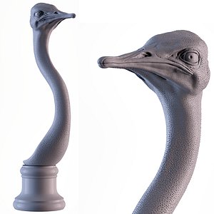 Ostrich