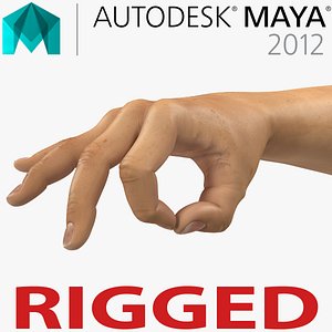 Man Hands 2 Rigged for Maya
