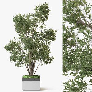 3D Plant 1320 model