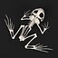 toad skeleton 3d model