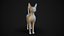 Base de malla Cat Sfinx High Poly
