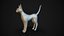 Base de malla Cat Sfinx High Poly