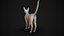 Base de malla Cat Sfinx High Poly