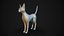 Base de malla Cat Sfinx High Poly