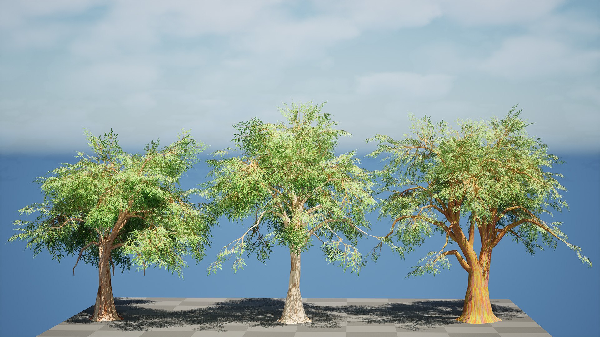 High-Detail Eucalyptus Tree 3D Asset 3D model https://p.turbosquid.com/ts-thumb/Gm/BZPO8i/LF/highresscreenshot00001/jpg/1736808079/1920x1080/fit_q87/ef18299d7f204d588b5e51e3b71581f77071cdf3/highresscreenshot00001.jpg