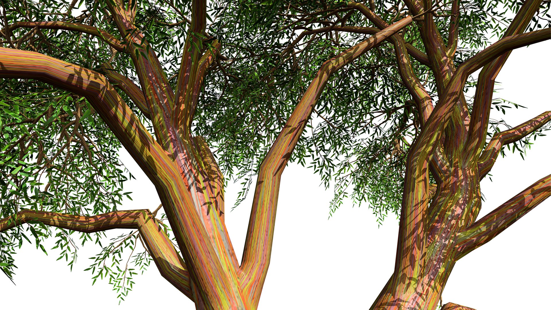High-Detail Eucalyptus Tree 3D Asset 3D model https://p.turbosquid.com/ts-thumb/Gm/BZPO8i/PW/01eucalyptus2z3l/jpg/1736808070/1920x1080/fit_q87/ba3af883b706fafc0410f5afae3e5cccfaaee694/01eucalyptus2z3l.jpg