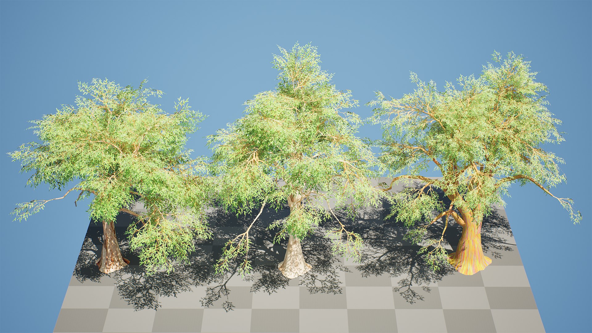 High-Detail Eucalyptus Tree 3D Asset 3D model https://p.turbosquid.com/ts-thumb/Gm/BZPO8i/S5/highresscreenshot00000/png/1736808087/1920x1080/fit_q87/4578e8e86c7d90edcc3d7c1723d1b347fb6ba027/highresscreenshot00000.jpg