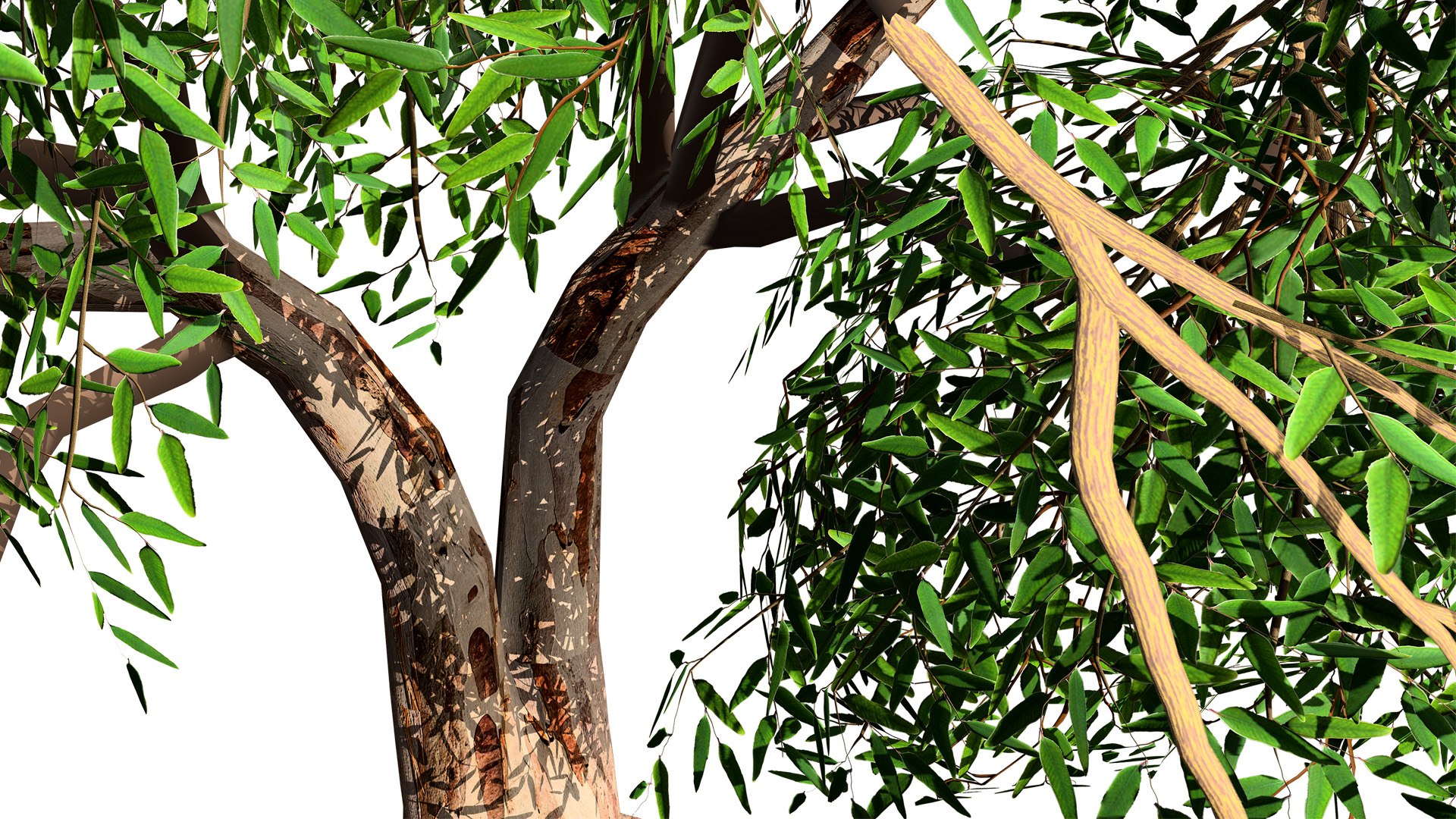 High-Detail Eucalyptus Tree 3D Asset 3D model https://p.turbosquid.com/ts-thumb/Gm/BZPO8i/hr/02eucalyptusz02l/jpg/1736808058/1920x1080/fit_q87/e05a9a51643d6f2ccc499b97ef3af21e9c2b60df/02eucalyptusz02l.jpg