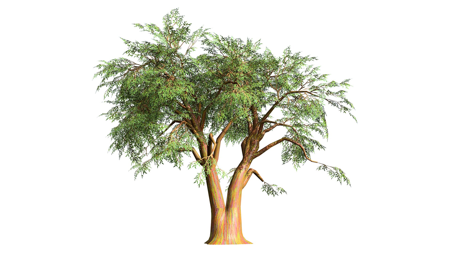 High-Detail Eucalyptus Tree 3D Asset 3D model https://p.turbosquid.com/ts-thumb/Gm/BZPO8i/k3/eucalyptus2l/jpg/1736808075/1920x1080/fit_q87/232027907b97810248e6100c591f4380fe309885/eucalyptus2l.jpg