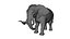 3D model Elephant Rigged for Cinema 4D Animated 3D Model
