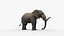3D model Elephant Rigged for Cinema 4D Animated 3D Model