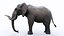 3D model Elephant Rigged for Cinema 4D Animated 3D Model