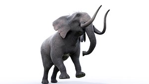 3D model Elephant Rigged for Cinema 4D Animated 3D Model