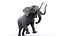 3D model Elephant Rigged for Cinema 4D Animated 3D Model