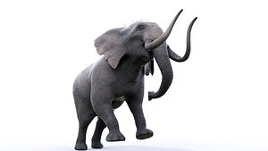 Elephant Rigged for Cinema 4D Animated 3D Model