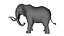 3D model Elephant Rigged for Cinema 4D Animated 3D Model