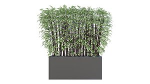Plant 10 model