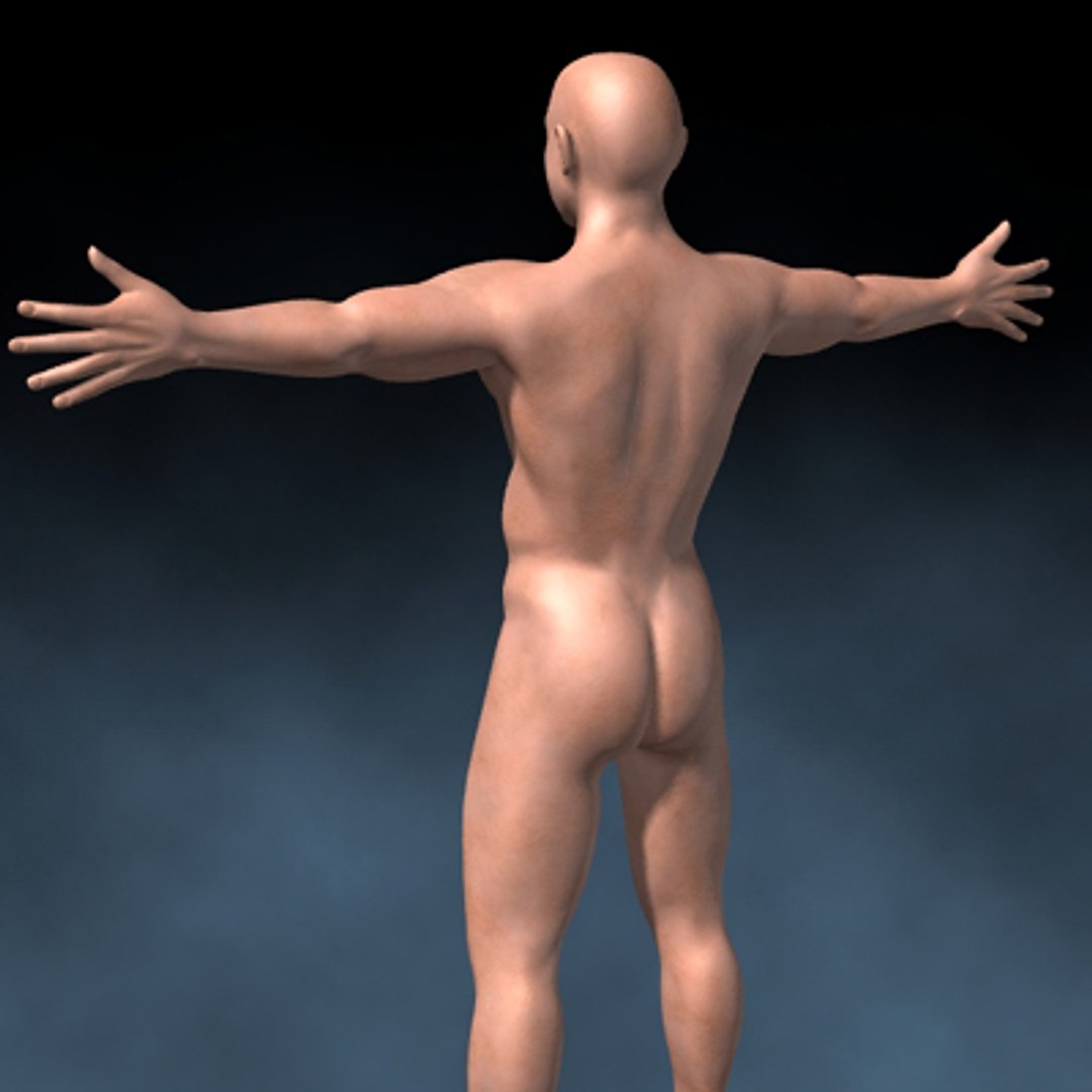 lwo human body https://p.turbosquid.com/ts-thumb/Gm/LxLKwC/I3kJ2WJ3/male03/jpg/1071841398/1920x1080/fit_q87/bff8a107cfb643eade392cd40d94b3185b739789/male03.jpg