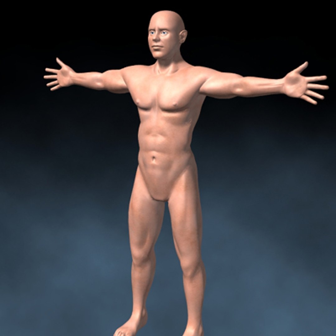 lwo human body https://p.turbosquid.com/ts-thumb/Gm/LxLKwC/z4prFN9Z/male04/jpg/1071841399/1920x1080/fit_q87/fd216463e56528cdb585c081cd3656ba6ed05cd9/male04.jpg